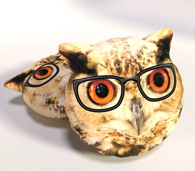 Poduszka dekoracyjna przytulanka Sowa brązowa w okularach B166 1600