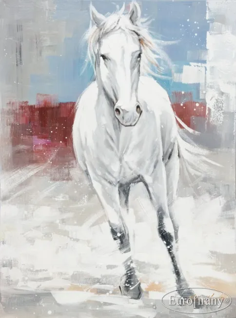 Obraz Koń 60x80 HORSE/1