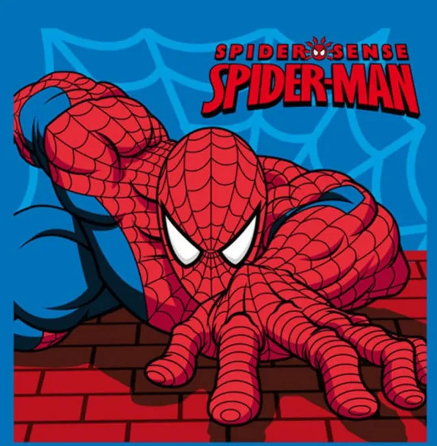Ręcznik Spiderman 30x30 3490 Detexpol