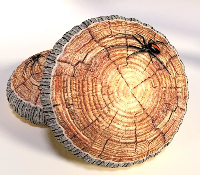 Poduszka dekoracyjna przytulanka Pień pieniek drzewa pajak B150