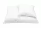 Poduszka antyalergiczna 40x60 Cotton pikowana 250g biała AMZ