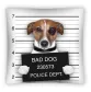 Poszewka dziecięca 40x40 3D Pies w areszcie zdjęcie zatrzymanego PS 0006