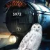 Ręcznik plażowy 70x140 Harry Potter sowa Hedwiga pociąg 8797 dziecięcy