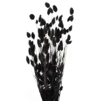 Bukiet z suszu kwiat natura 16 długość bukietu 70 cm czarny