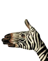 Koc narzuta dwustronna 160x200 z mikrofibry Zebra