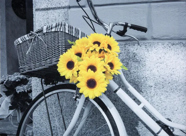 Obraz Eve 1 30x40 rower z kwiatami słonecznika Eurofirany