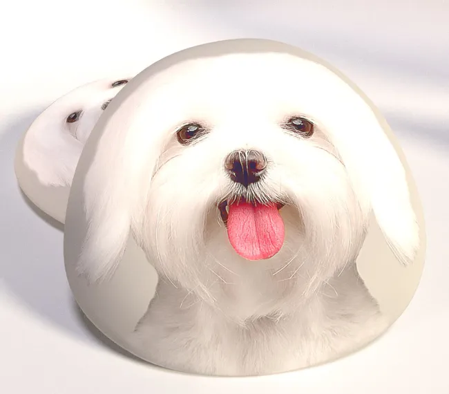 Poduszka dekoracyjna przytulanka Pies Słodki Piesek biały B346