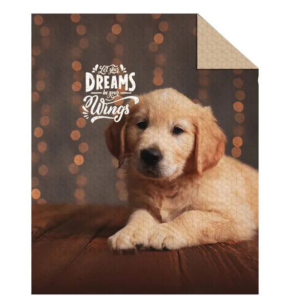 Narzuta młodzieżowa Holland 170x210 K 29 słodki Piesek pies beżowa brązowa dwustronna dog szczeniaczek 1873 dekoracyjna na łóżko pikowana