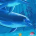 Ręcznik plażowy 75x150 Dolphins delfiny  niebieski Plaża 23