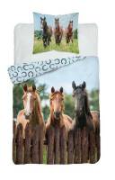 Pościel bawełniana 160x200 Konie koniki brązowe koń 3628 A podkowy błękitna brązowa 0159 młodzieżowa horse Holland Collection