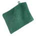 Ręcznik myjka Gładki 1 16x21 32 zielony   ciemny rękawica kąpielowa 400 g/m2 frotte Eurofirany