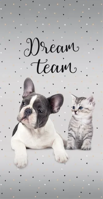 Ręcznik plażowy 70x140 Dream Team 13 Pies i Kot przyjaciele