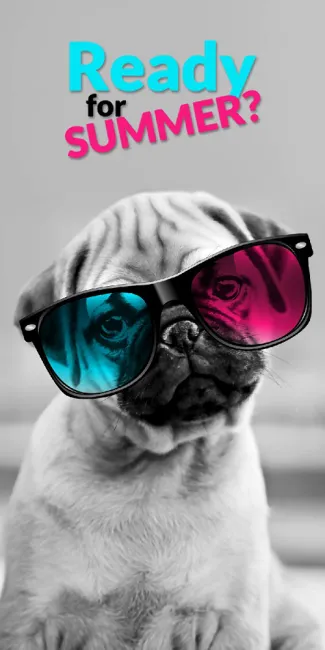 Ręcznik plażowy 70x140 Pies w kolorowych okularach 6897 Dog in colored glasses