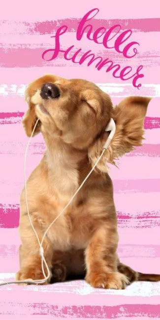 Ręcznik plażowy 70x140 Piesek 9698 pies w słuchawkach różowy hello summer bawełniany